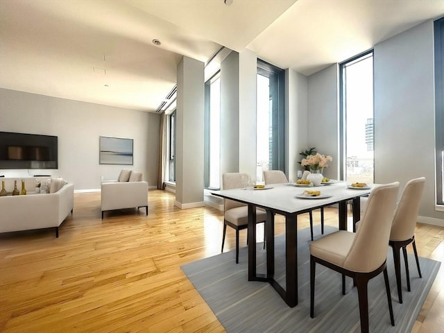 dining room with light hardwood / wood-style flooring and floor to ceiling windows