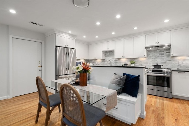 44 Fresh Pond Pl Unit 44, Cambridge, MA 02138 - kitchen with stainless steel appliances, under cabinet range hood, decorative backsplash, light wood-type flooring, and recessed lighting