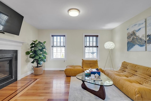 living room with wood-type flooring