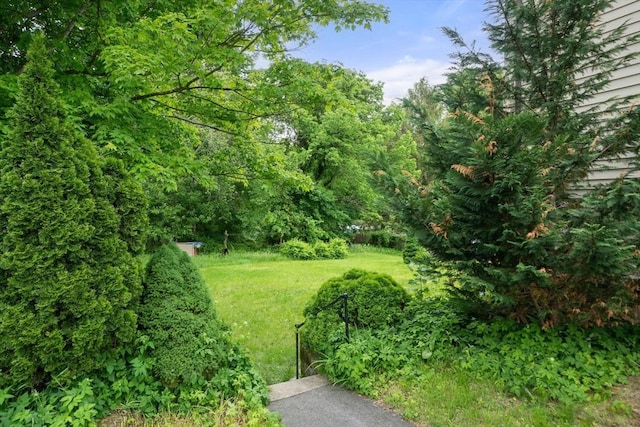 1438 Somerset Ave, Taunton, MA 02780 - view of green lawn