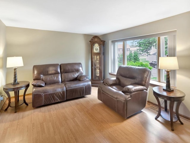 18 Sharron Dr Unit 18, Easton, MA 02375 - living room featuring light wood finished floors