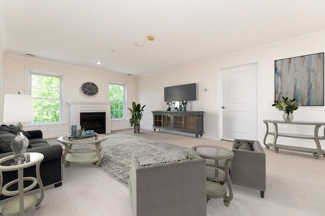 8 Crowninshield Unit 312, Peabody, MA 01960 - living area featuring ornamental molding, light colored carpet, baseboards, and a fireplace