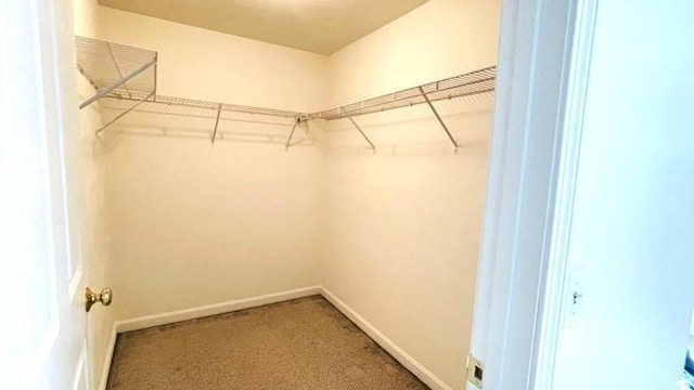 27 Christine Dr, Worcester, MA 01604 - spacious closet featuring carpet