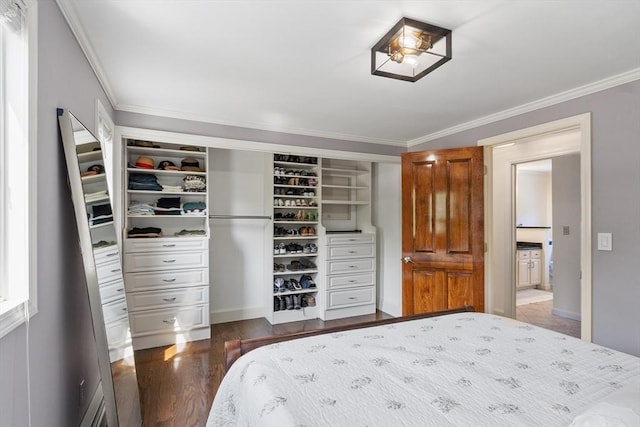 18 Mann St, Bellingham, MA 02019 - bedroom featuring a closet, crown molding, and wood finished floors