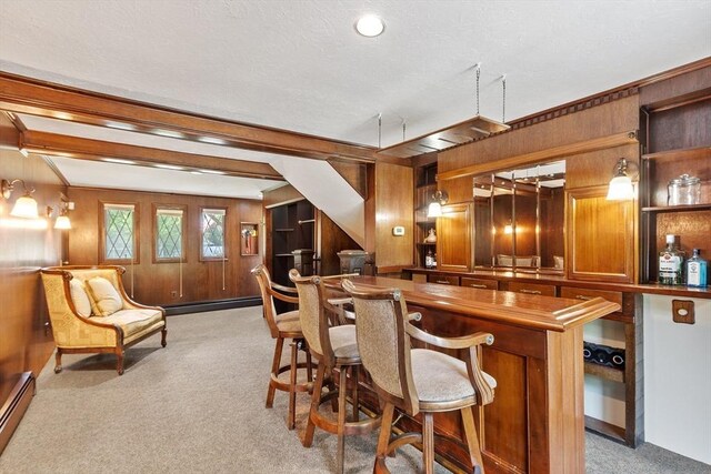 18 Mann St, Bellingham, MA 02019 - indoor dry bar with light colored carpet, wooden walls, and a baseboard radiator