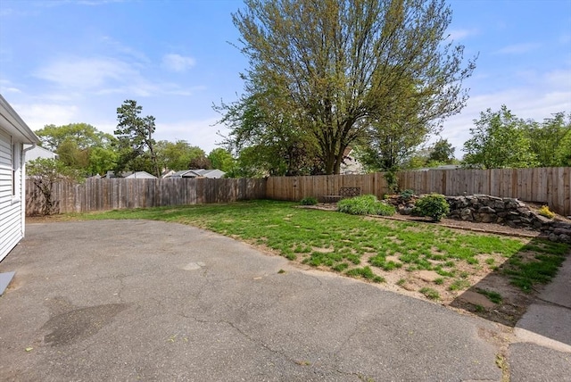 view of yard featuring a patio area
