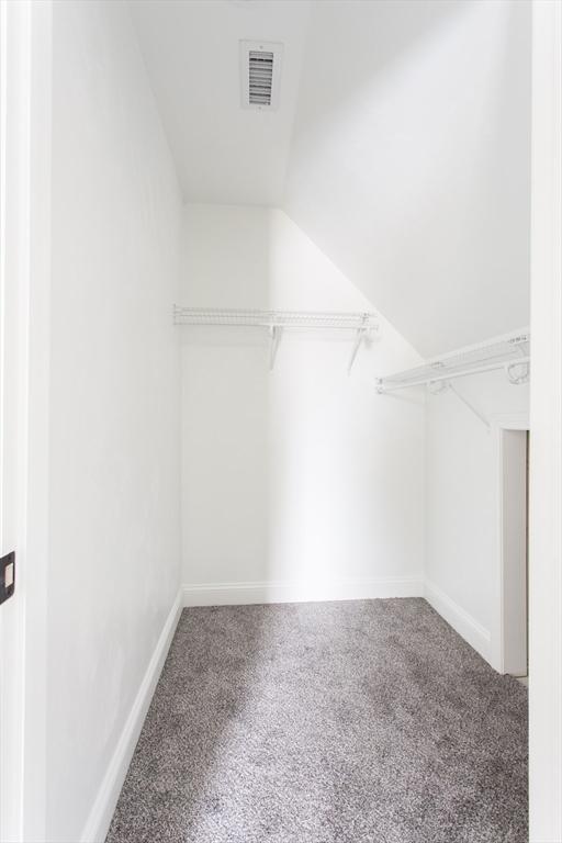 walk in closet featuring lofted ceiling, visible vents, and carpet flooring