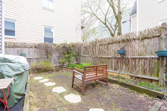 view of yard featuring a fenced backyard