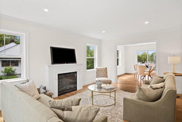 7 Locust St, Woburn, MA 01801 - living room featuring ornamental molding, wood finished floors, a glass covered fireplace, baseboards, and recessed lighting