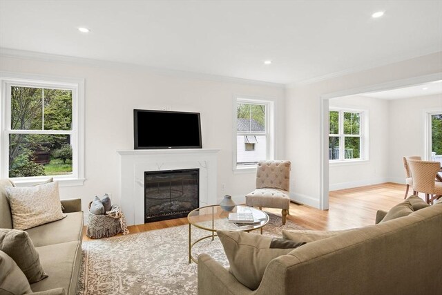 7 Locust St, Woburn, MA 01801 - living room with plenty of natural light, a high end fireplace, ornamental molding, wood finished floors, and recessed lighting