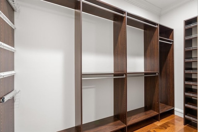 spacious closet featuring hardwood / wood-style floors