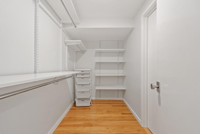 5 Mason St, Lexington, MA 02421 - spacious closet featuring light wood-style floors