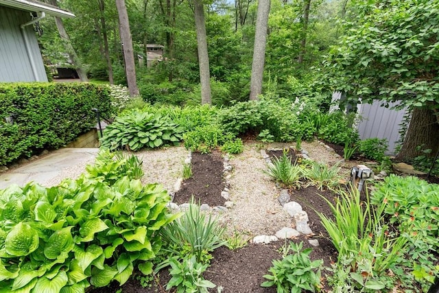 5 Mason St, Lexington, MA 02421 - view of yard