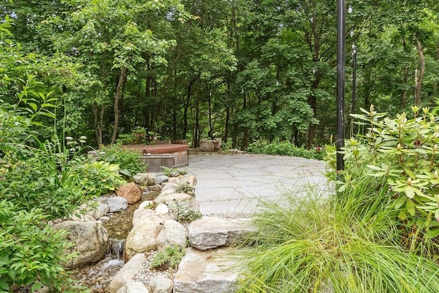 5 Mason St, Lexington, MA 02421 - view of community with a jacuzzi and a patio