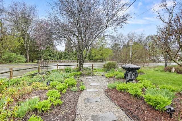 1 Island Rd, Medway, MA 02053 - view of yard