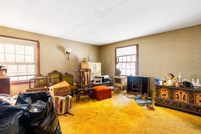 interior space featuring carpet floors, plenty of natural light, and a textured ceiling