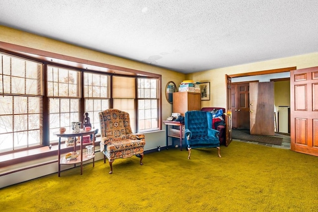 living area featuring a textured ceiling and carpet floors