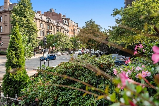 151 Beacon St Unit 4, Boston, MA 02116 - view of community