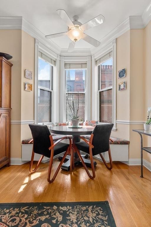 151 Beacon St Unit 4, Boston, MA 02116 - dining area with light wood-style flooring, crown molding, baseboards, and a ceiling fan