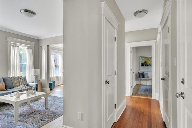 corridor featuring baseboards, ornamental molding, and wood-type flooring