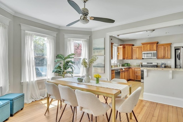 dining area with ceiling fan, ornamental molding, and light wood-type flooring