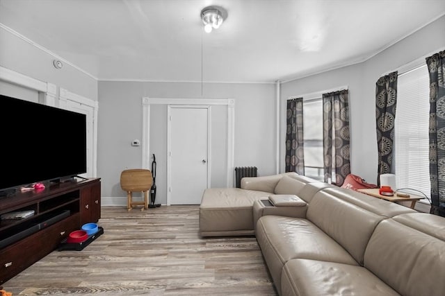 living room featuring light hardwood / wood-style flooring