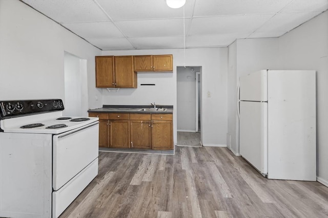 kitchen featuring white appliances, a paneled ceiling, sink, and light wood-type flooring