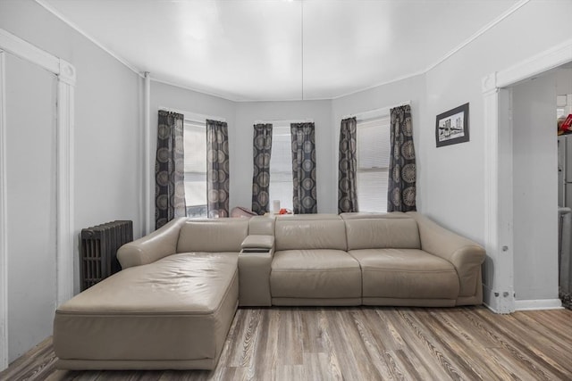 living room with crown molding, radiator heating unit, and wood-type flooring