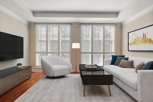 living room with wood-type flooring, a raised ceiling, and plenty of natural light