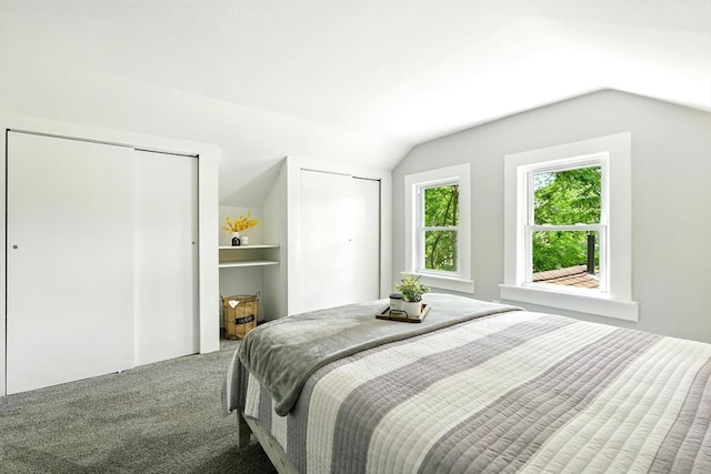29 Healy St, West Springfield, MA 01089 - carpeted bedroom featuring two closets and vaulted ceiling