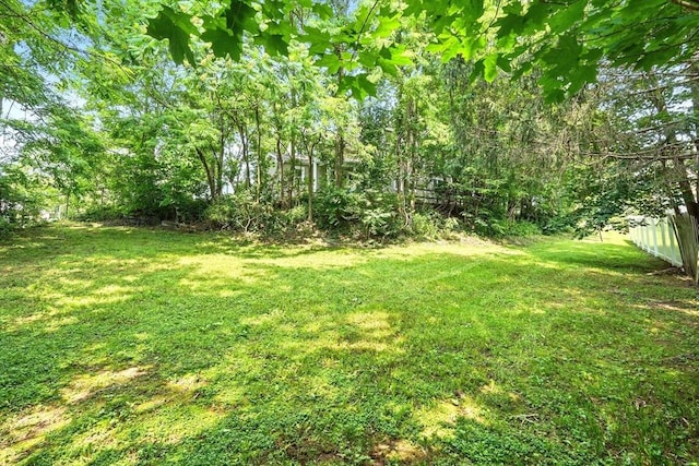 29 Healy St, West Springfield, MA 01089 - view of yard