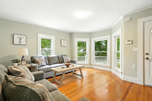 29 Healy St, West Springfield, MA 01089 - living area with light wood-type flooring, ornamental molding, and a textured ceiling
