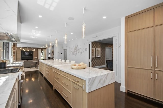 kitchen featuring stainless steel stove, open floor plan, dark wood-style floors, and light stone countertops