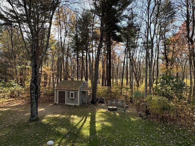 view of yard featuring a storage unit