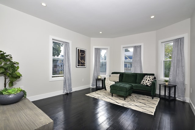 living room with dark wood-type flooring