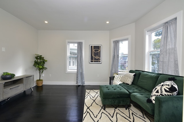 living room with hardwood / wood-style floors