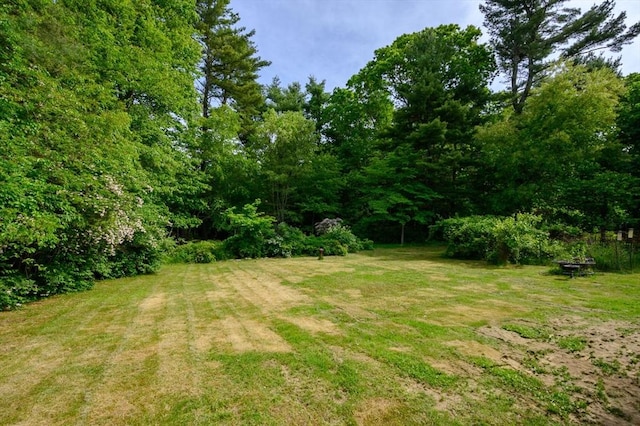 146 Field St, Taunton, MA 02780 - view of green lawn