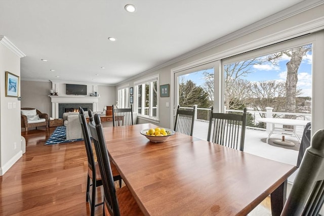 dining space featuring crown molding, recessed lighting, wood finished floors, a warm lit fireplace, and baseboards