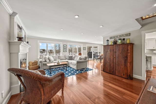 living area with baseboards, ornamental molding, wood finished floors, and a glass covered fireplace