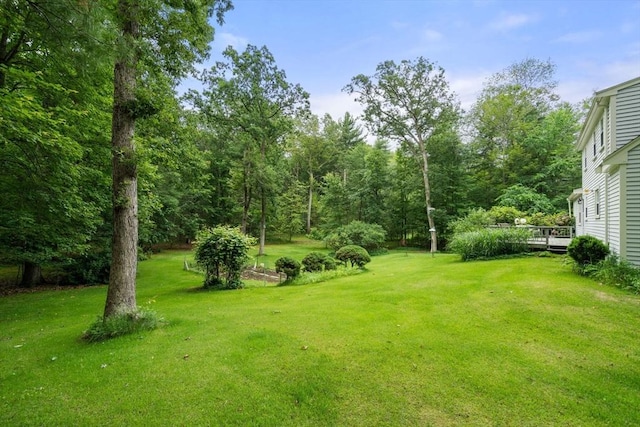 19 Birch St, Millis, MA 02054 - view of grassy yard featuring a deck
