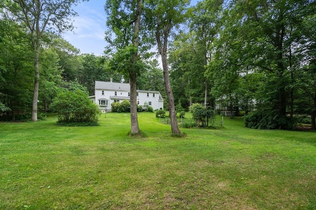 19 Birch St, Millis, MA 02054 - view of green lawn