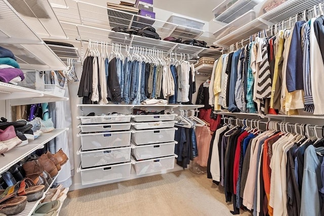 spacious closet with light colored carpet