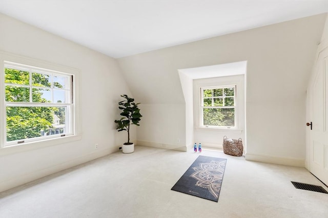 10 Eliot Rd, Lexington, MA 02421 - bonus room featuring carpet flooring and lofted ceiling