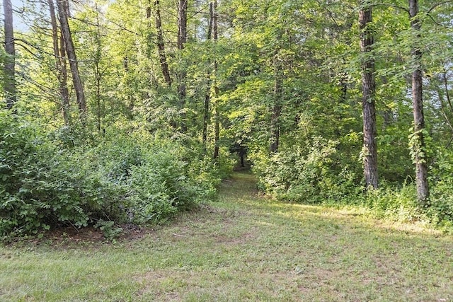 146 Lowell Rd, Pepperell, MA 01463 - view of wooded area