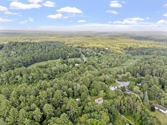 146 Lowell Rd, Pepperell, MA 01463 - bird's eye view of a forest