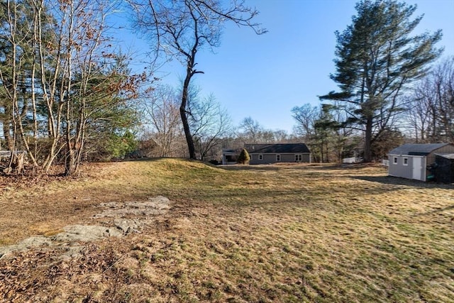 view of yard with an outbuilding and a storage unit