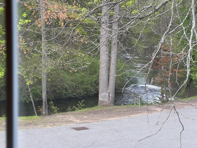 60A Washington Park Dr Unit 3, Andover, MA 01810 - view of wooded area with a water view