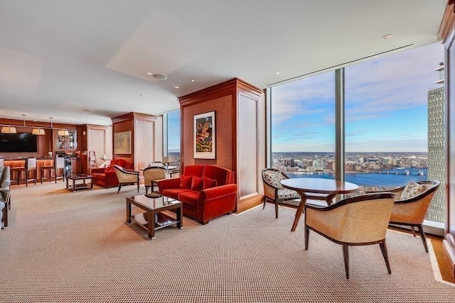 carpeted living room featuring a water view