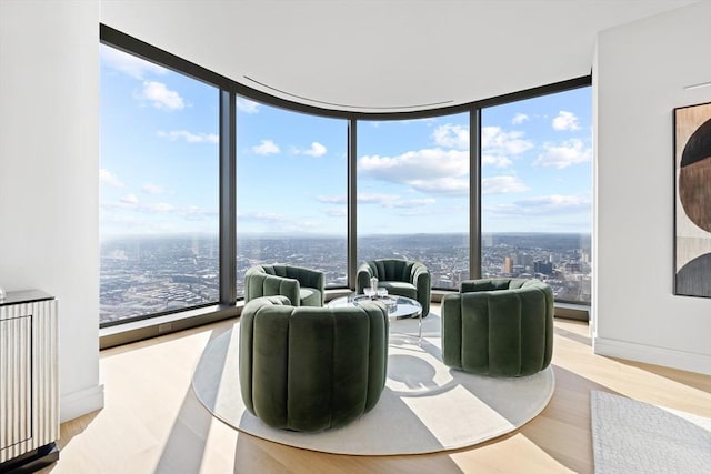 living room featuring a healthy amount of sunlight and expansive windows