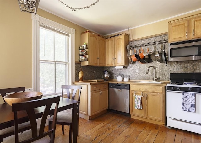 327 Lafayette St Unit 2, Salem, MA 01970 - kitchen with stainless steel appliances, backsplash, light wood-type flooring, ornamental molding, and light countertops